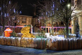 Obrázek pro kategorii Vánoční osvětlení na zahradu